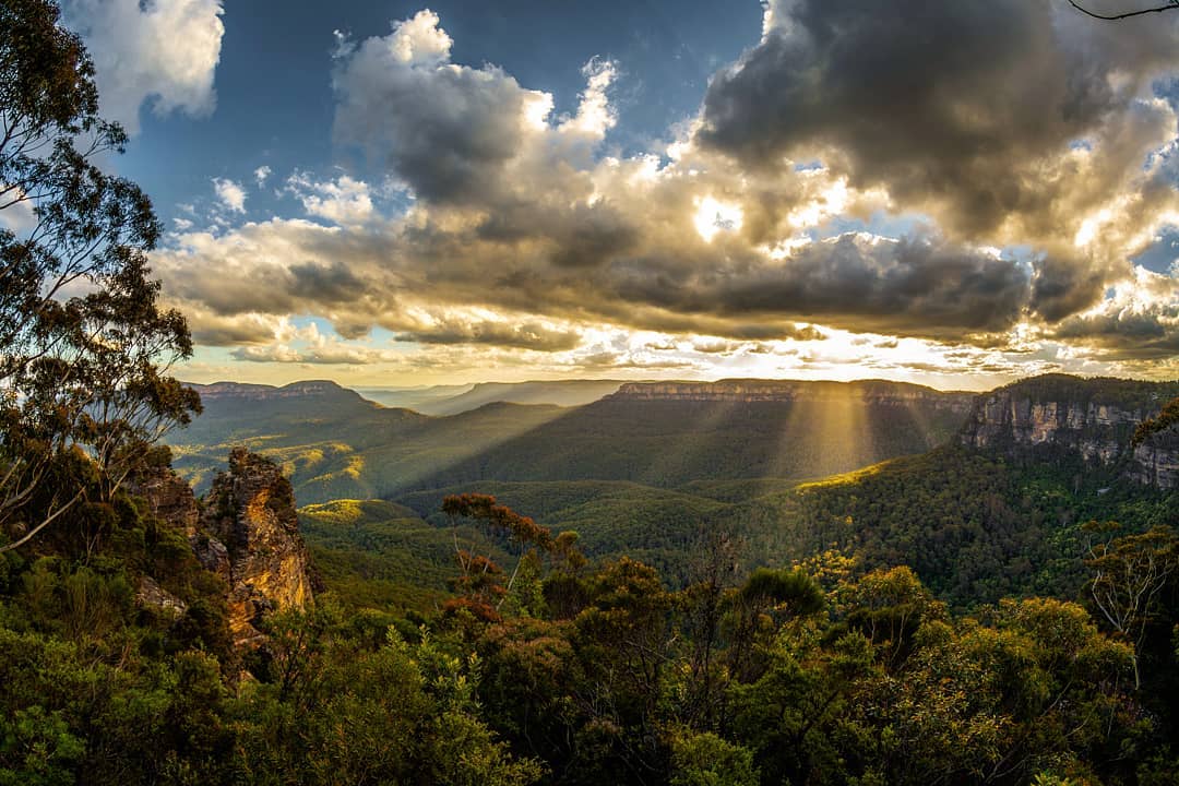 A detailed guide to have the Best Blue Mountains Tour