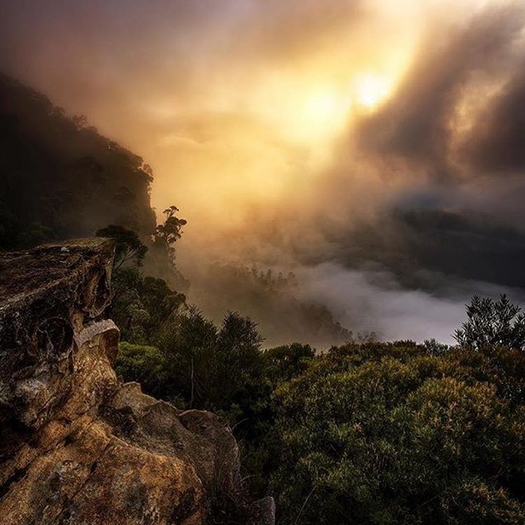 An all-inclusive guide to have a Blue Mountains overnight tour from Sydney