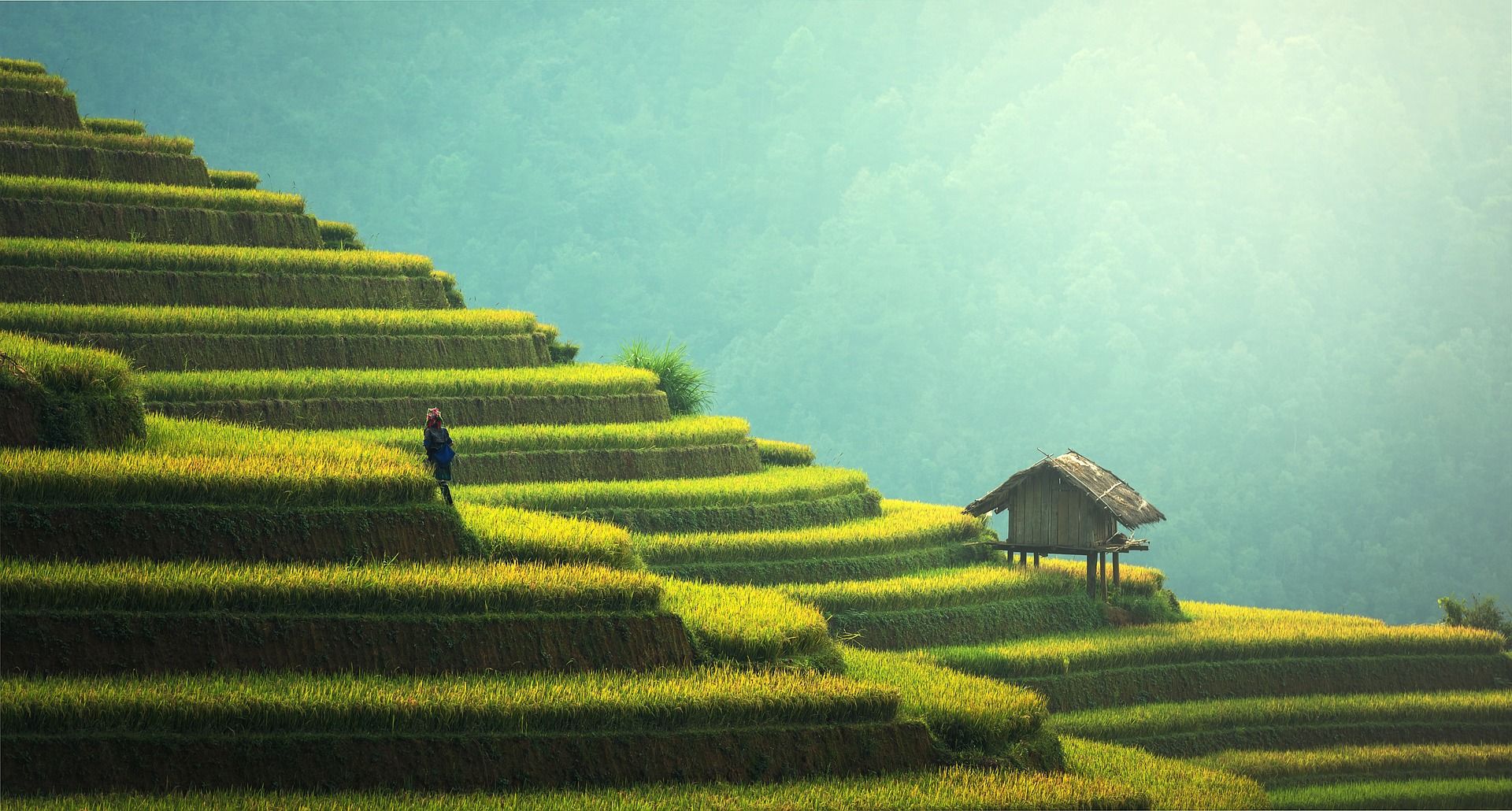 Vietnam Travel Tips: 15 Things You Need to Know