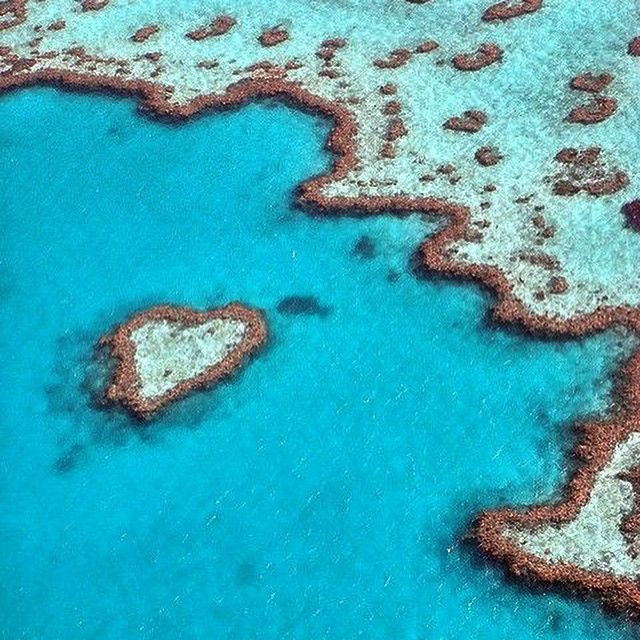 A vacation for your soul: Mission Beach