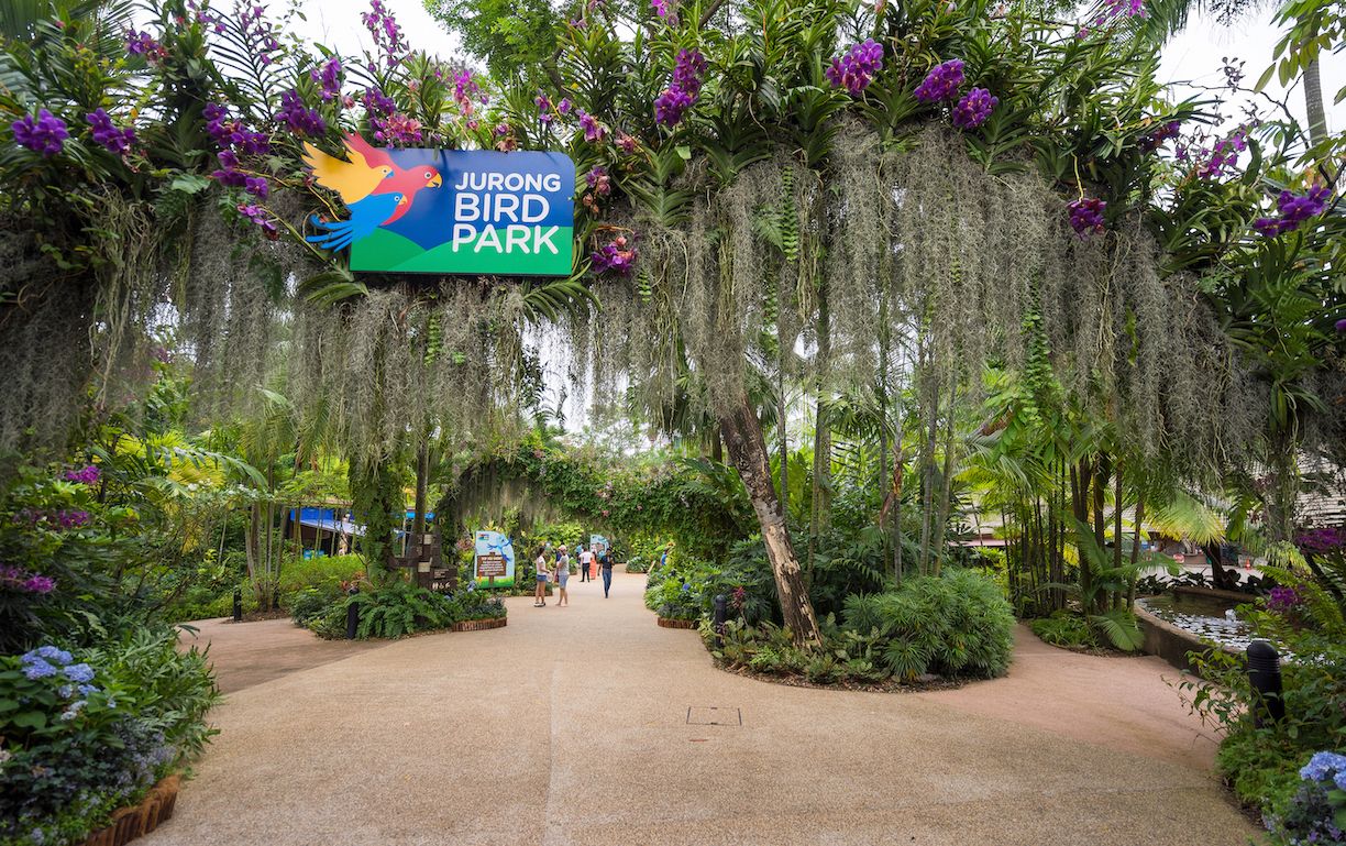 Jurong Bird Park: A Detailed Guide to Discover Asia’s Largest Bird Paradise in Singapore